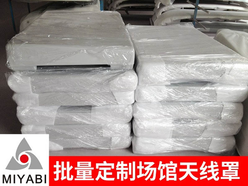 场馆天线罩